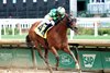 Waggley wins the 2026 Kentucky Juvenile Stakes
