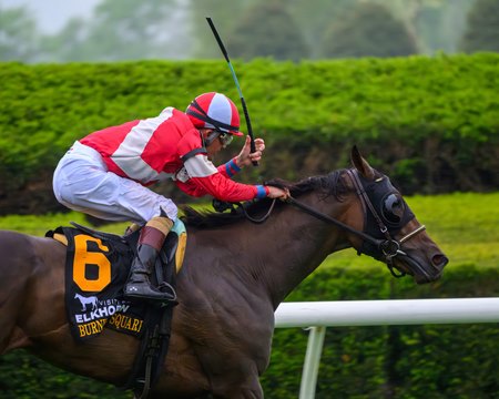 Burnham Square wins the Elkhorn Stakes at Keeneland