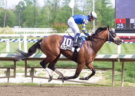 Taj Mahal wins the Federico Tesio Stakes at Laurel Park