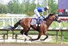 Taj Mahal wins the 2026 Federico Tesio Stakes at Laurel Park