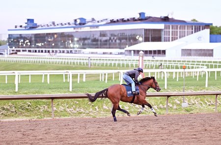 Taj Mahal trains at Laurel Park