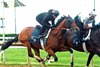 Ottinho - Work - Keeneland - 04-18-2026