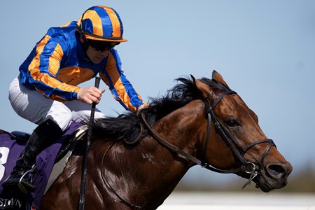 The Lion In Winter wins the Heritage Stakes at Leopardstown Racecourse