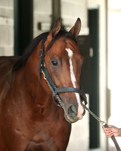 Potente at Churchill Downs