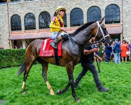 Eclatant after winning the Madison Stakes at Keeneland