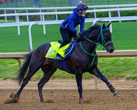 Danon Bourbon trains for the Kentucky Derby at Churchill Downs