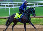 Danon Bourbon
Training at Churchill Downs on April 26, 2026. 