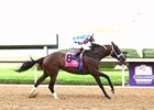 Claret Beret wins the 2026 Apple Blossom Handicap at Oaklawn Park