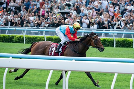 Ka Ying Rising wins his 20th consecutive race by taking the Chairman's Sprint Prize (G1) at Sha Tin Racecourse