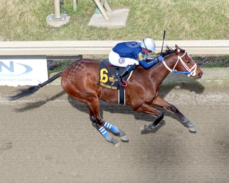Shane's Wonder wins an allowance optional claimer at Parx Racing