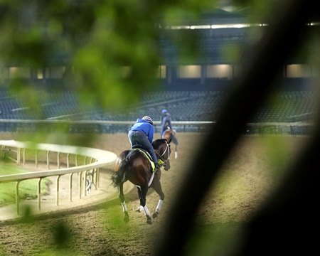 Corona de Oro gallops at Churchill Downs