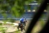 Corona de Oro - Gallop - CD - 042626