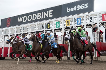 Racing at Woodbine