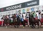 Jockey Jose Campos breaks from the starting gate on #5 Haley's Honor to capture the 1st race of the 128 day Thoroughbred race meet at Woodbine, April 18 2026