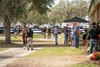 Scene, 2026 OBS Spring Two-Year-Olds in Training Sale