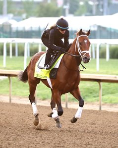 Renegade on the track at Churchill Downs April 27