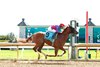 Answered Prayers, Maiden Win, Keeneland, April 8 2026