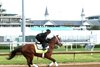 Renegade - Gallop - Churchill Downs - 042726