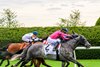 My Boy Prince with Jose Ortiz wins the Shakertown (G2T) at Keeneland in Lexington, Ky. on April 4, 2026
