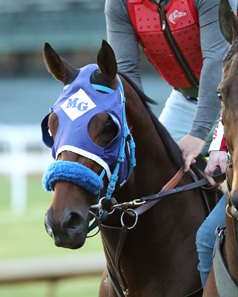So Happy exercises April 22 at Churchill Downs