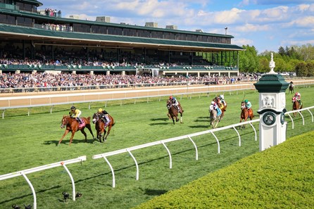 Reb Five - Horse Profile - BloodHorse