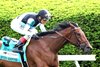 Speed Shopper wins the 2026 Bewitch Stakes at Keeneland