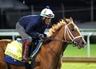 Further Ado - Gallop - Churchill Downs - 042026