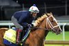 Further Ado - Gallop - Churchill Downs - 042026