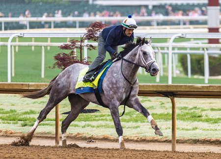 Fulleffort is one of the five Mr. Prospector descendants in the Kentucky Derby field