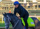 Great White
Training at Churchill Downs in Louisville, Ky.,  on April 30, 2026. 