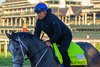 Great White
Training at Churchill Downs in Louisville, Ky.,  on April 30, 2026. 