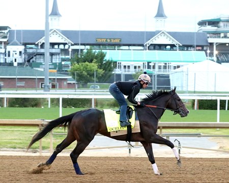 With Kentucky Derby week approaching, Churchill Downs owner CDI reports record-breaking first quarter numbers