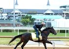Ocelli - Gallop - Churchill Downs - 04-22-26