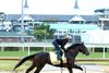 Ocelli - Gallop - Churchill Downs - 04-22-26