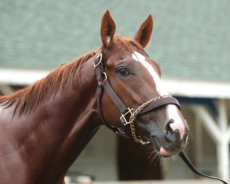 Right to Party at Churchill Downs