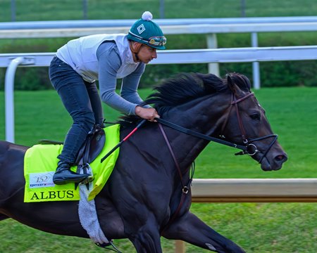 Albus trains in April at Churchill Downs