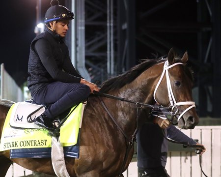 Stark Contrast April 22 at Churchill Downs