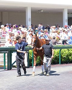 Right to Party paddock schools at Churchill Downs