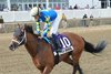 Taj Mahal wins the 2026 Federico Tesio Stakes at Laurel Park
