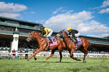 Reb Five - Horse Profile - BloodHorse