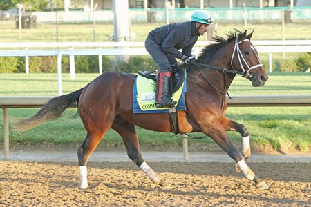 Commandment gallops at Churchill Downs