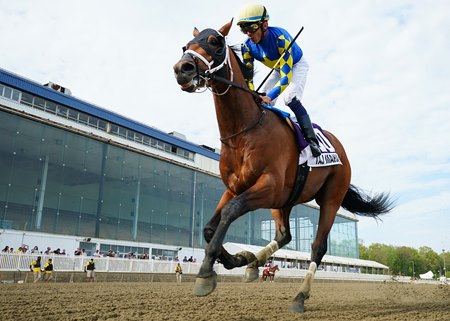 Taj Mahal wins the Federico Tesio Stakes at Laurel Park