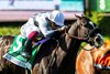 Almendares and jockey Antonio Fresu win the Grade III, $100,000 American Stakes, Saturday, April 18, 2026 at Santa Anita Park, Arcadia CA.
© BENOIT PHOTO