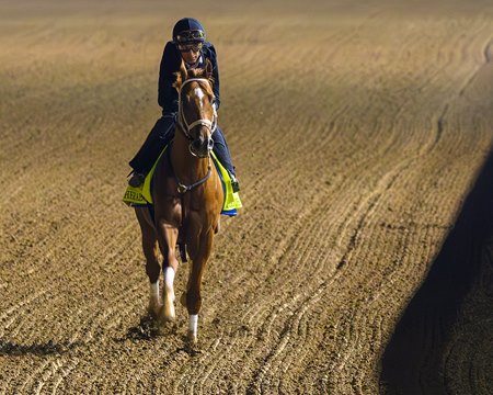 Further Ado, under John Velazquez, works during the early-morning hours April 25 at Churchill Downs
