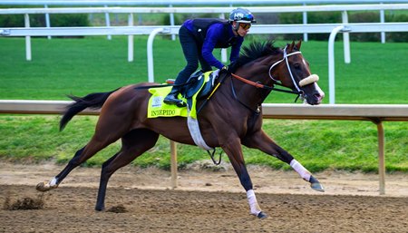 Intrepido breezes at Churchill Downs