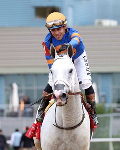 White Abarrio and Irad Ortiz Jr. win the Oaklawn Handicap at Oaklawn Park