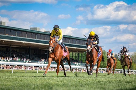 Reb Five - Horse Profile - BloodHorse