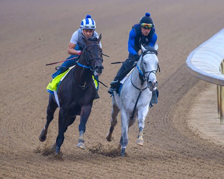 Chip Honcho (outside) breezes alongside a workmate April 25 at Churchill Downs