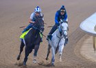 Chip Honcho (outside) with workmate
Training at Churchill Downs on April 24, 2026. 