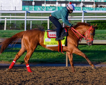 The Puma trains April 30 at Churchill Downs